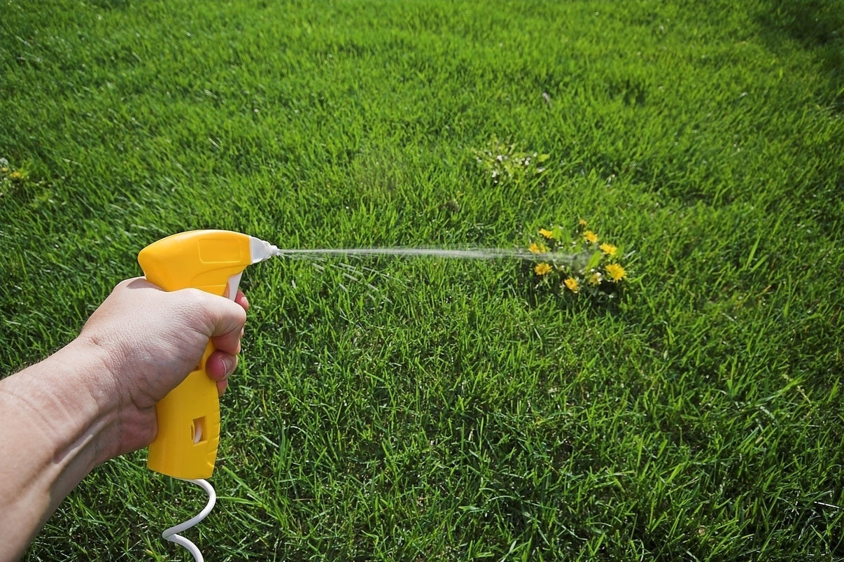 Killex Concentrate Ortho 4x 1L lawncareco